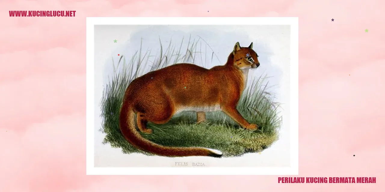 Perilaku Kucing Bermata Merah