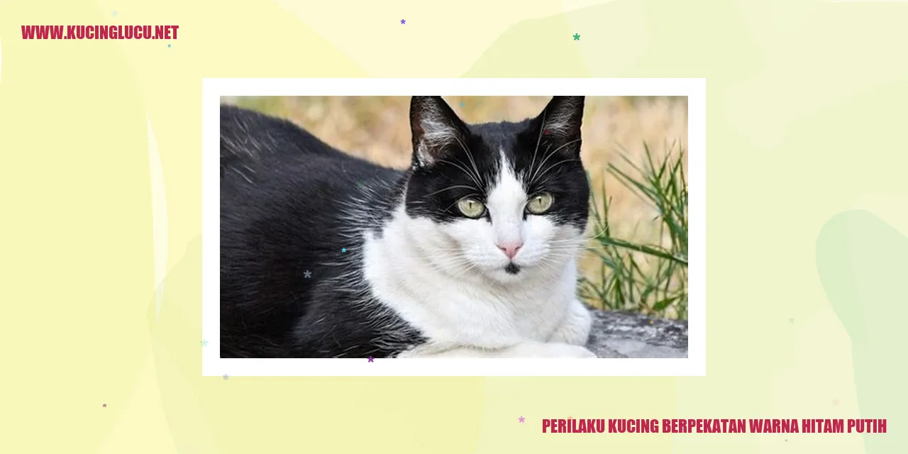 Gambardan Hitam Putih dengan Sketsa Kucing