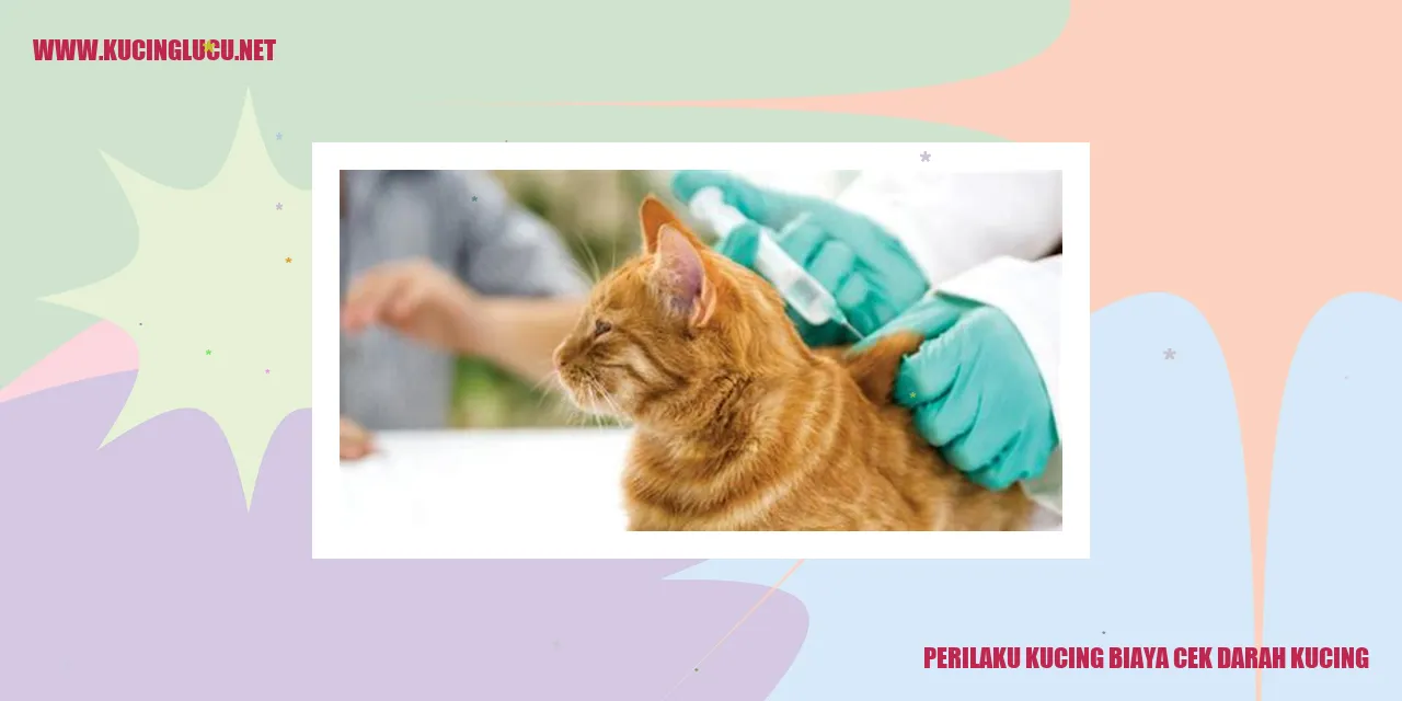 Perilaku Kucing saat Biaya Cek Darah Kucing