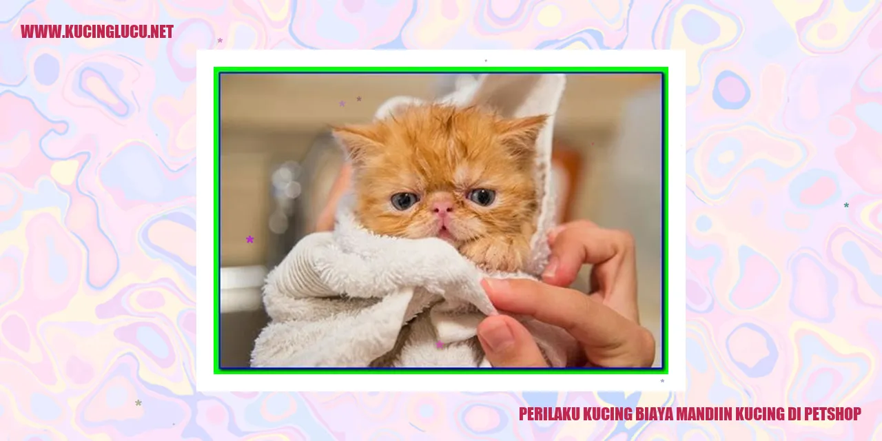 Perilaku Kucing Saat Dibawa Mandi di Petshop