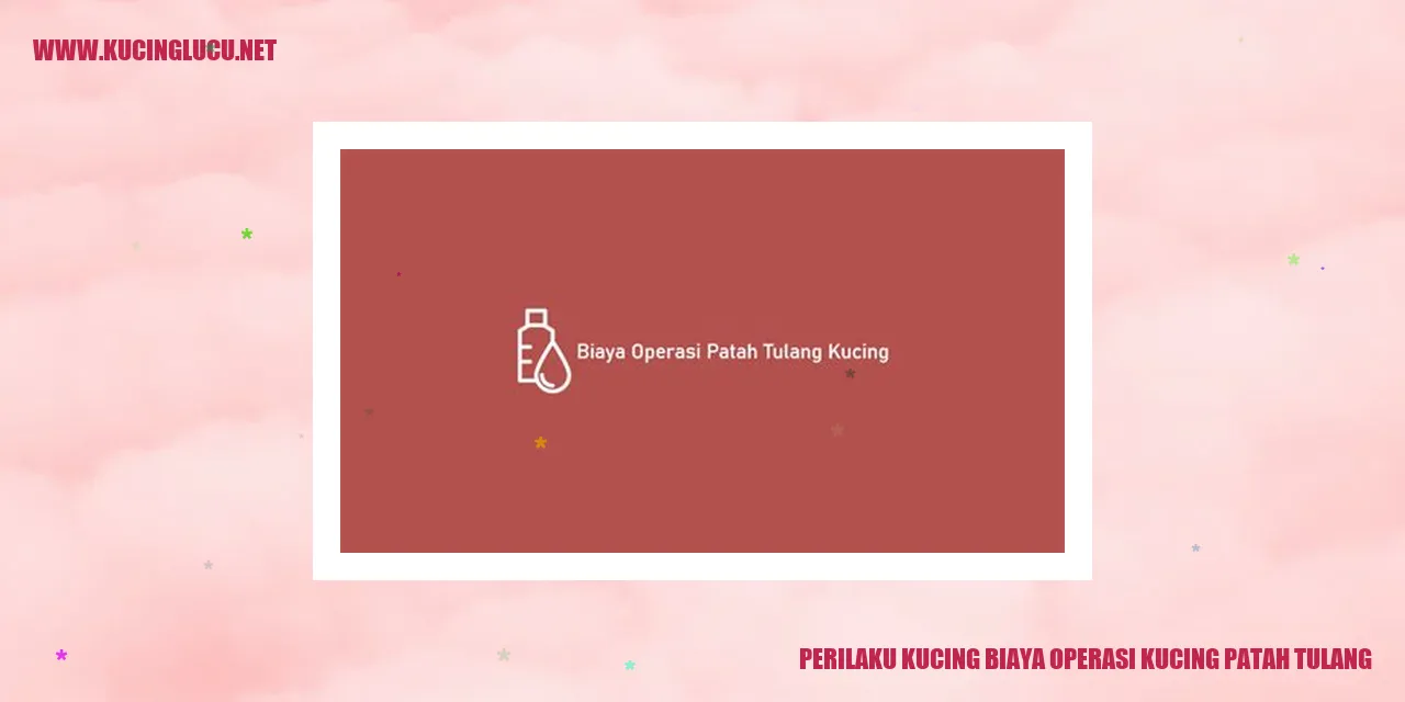 Perilaku Kucing