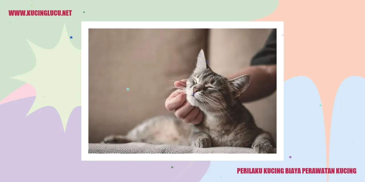 Perilaku Kucing biaya perawatan kucing
