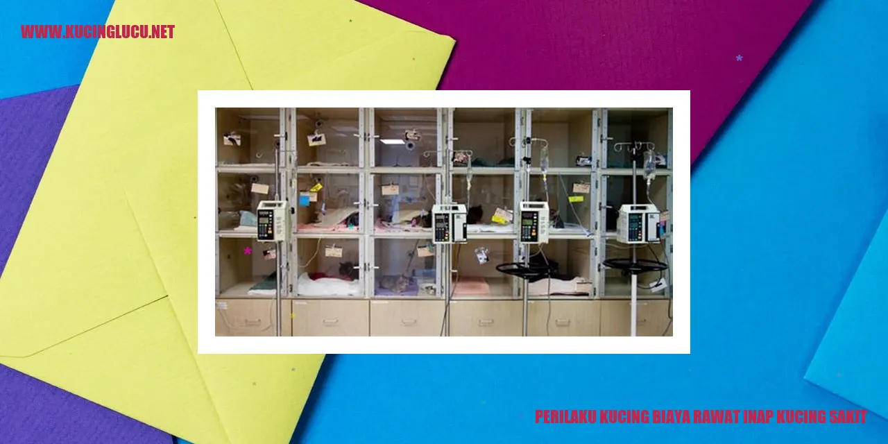 Perilaku Kucing biaya rawat inap kucing sakit