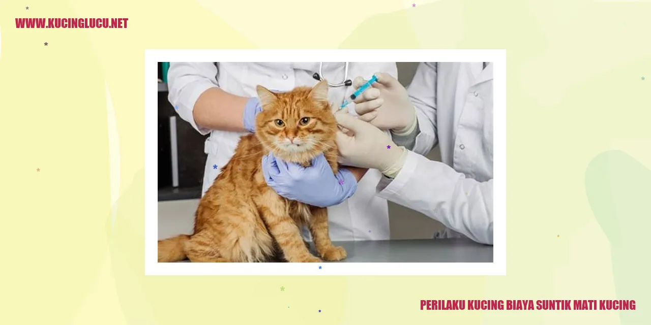 Perilaku Kucing biaya suntik mati kucing
