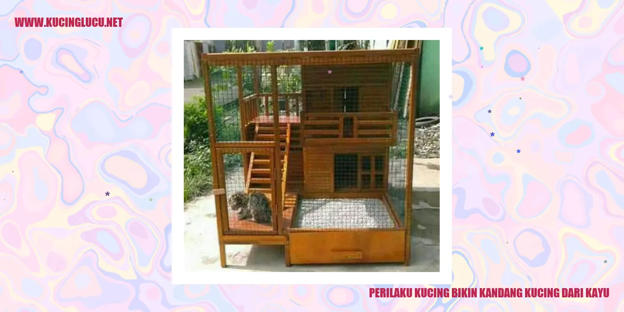Perilaku Kucing bikin kandang kucing dari kayu