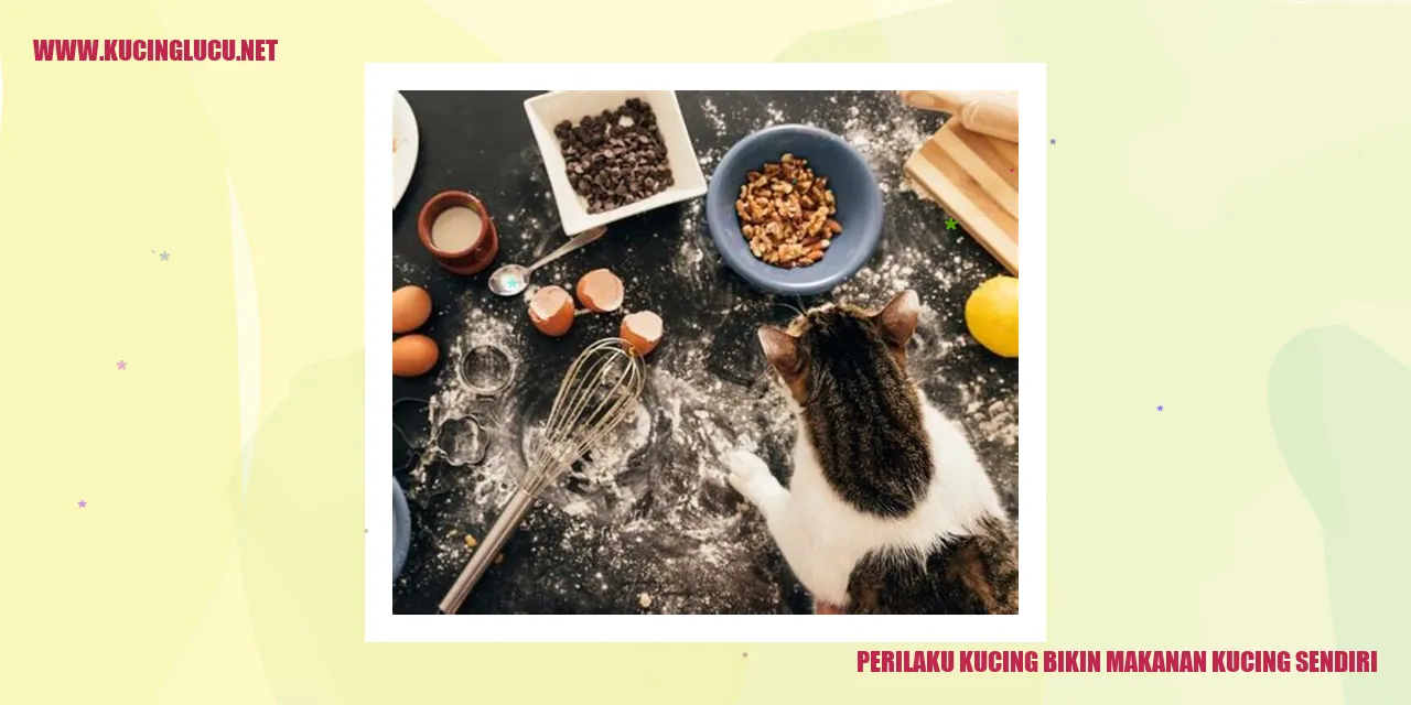 Perilaku Kucing Membuat Makanan Kucing Sendiri