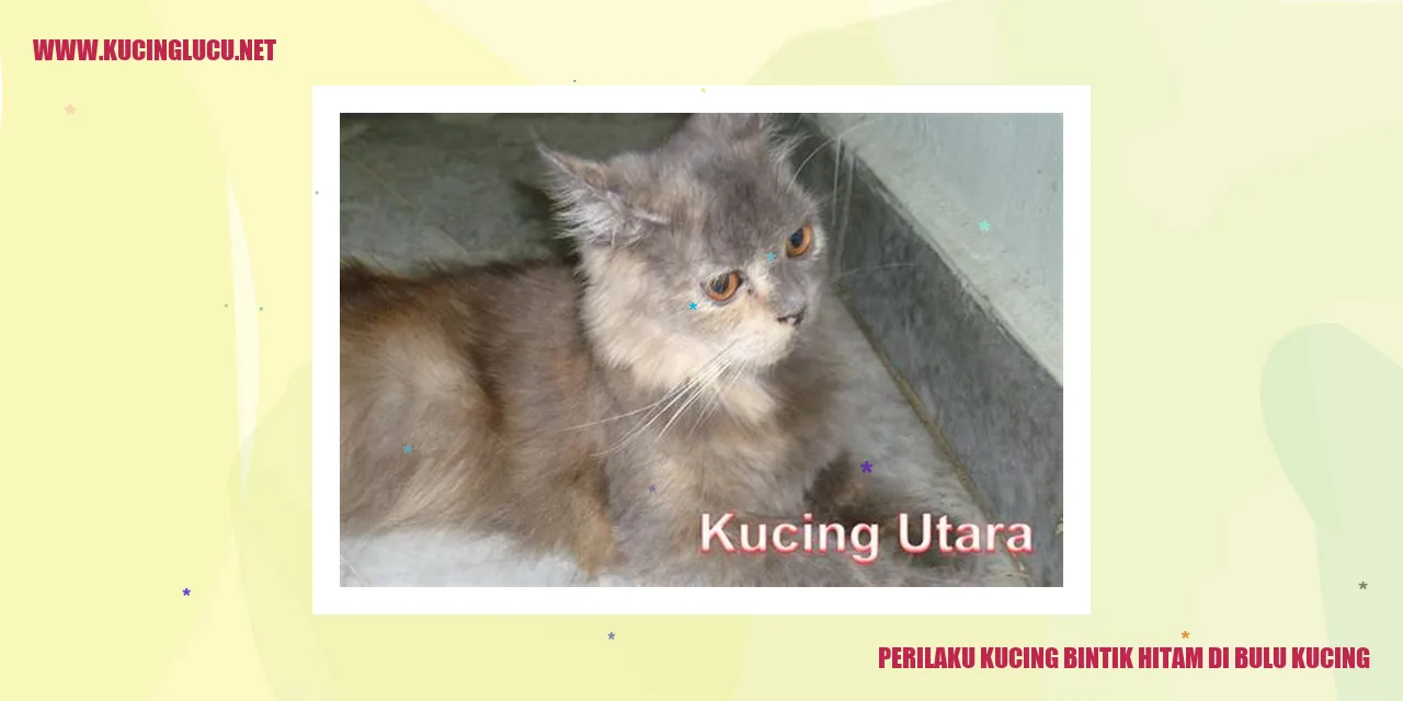 Gambar Kucing Bintik Hitam