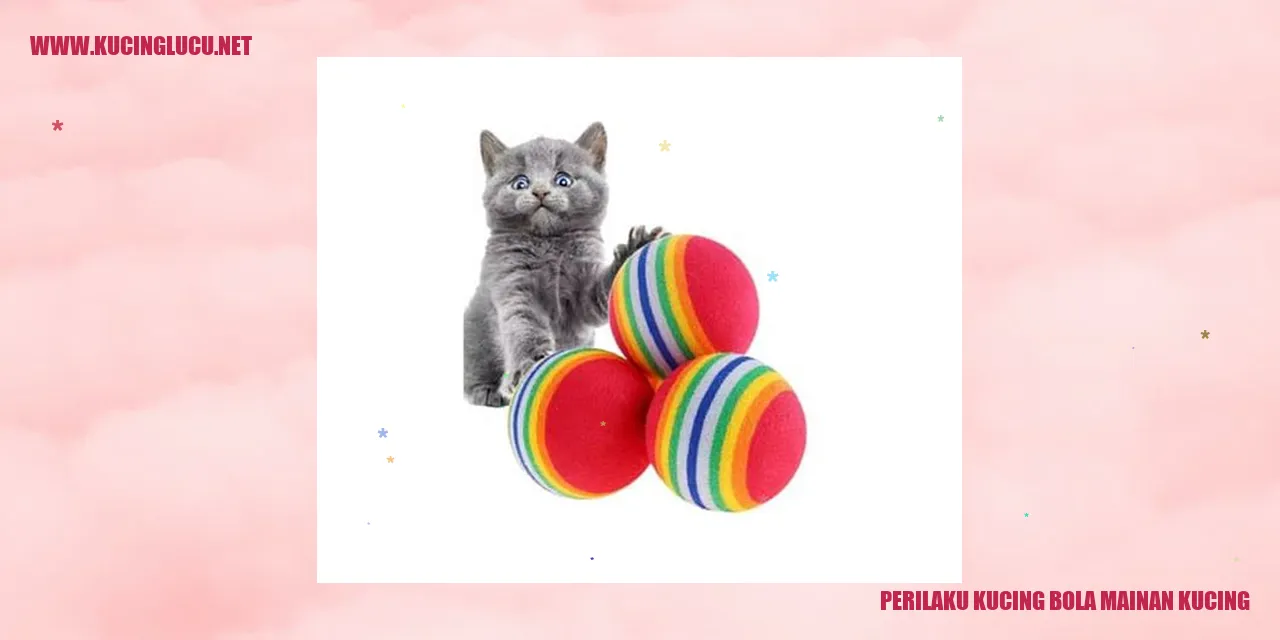 Perilaku Kucing bola mainan kucing