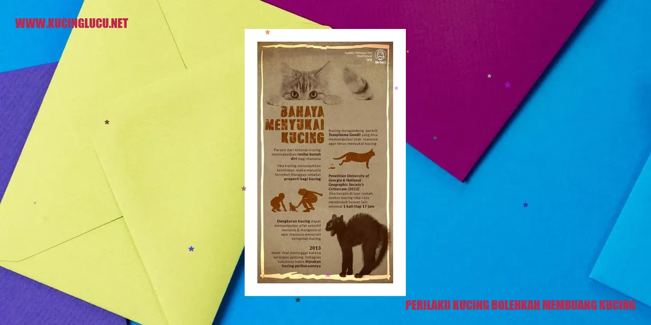Perilaku Kucing Membuang Kucing