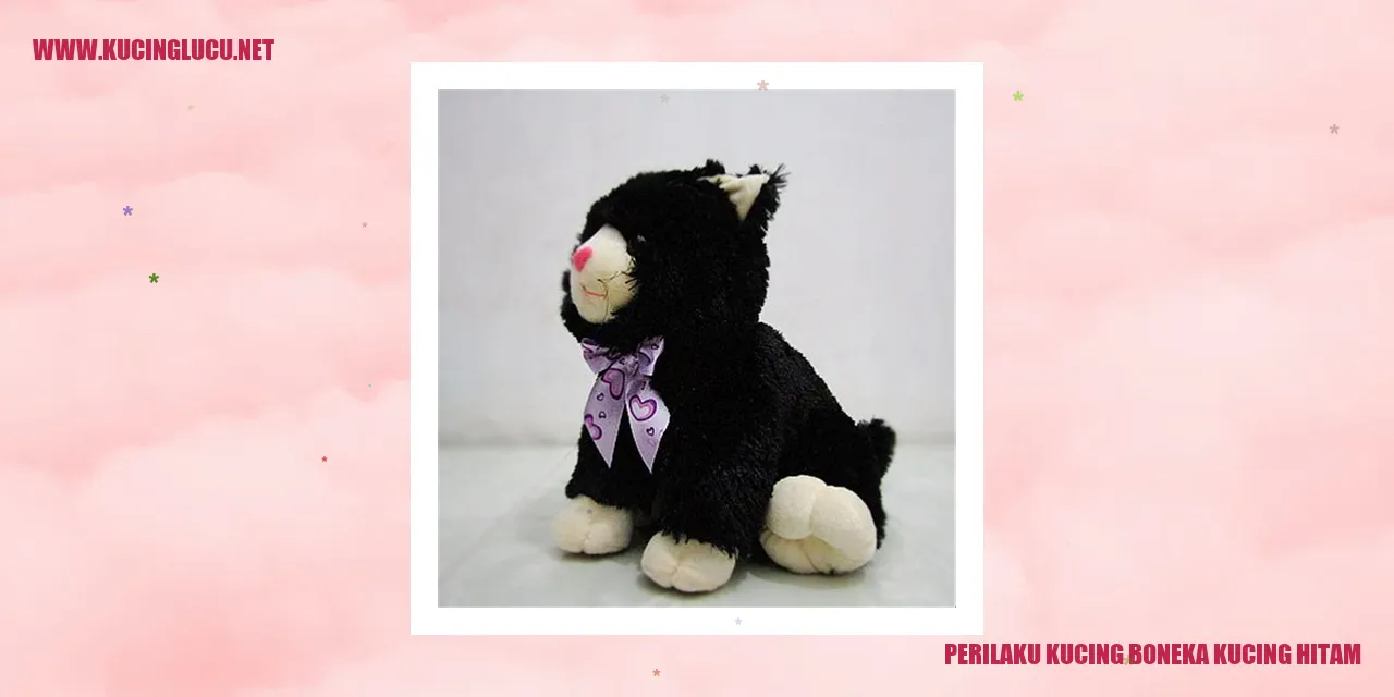 Perilaku Kucing Boneka Kucing Hitam