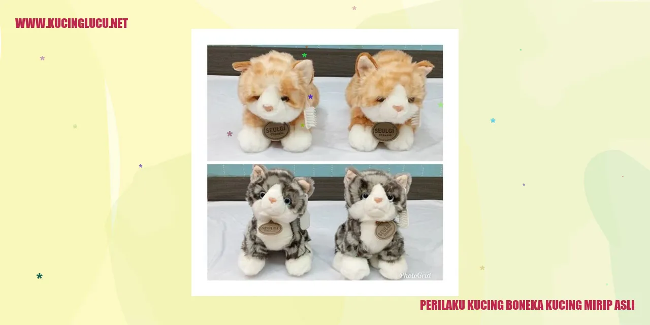 Perilaku Kucing Boneka yang Mirip Asli