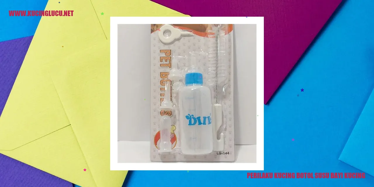 Kucing botol susu bayi kucing