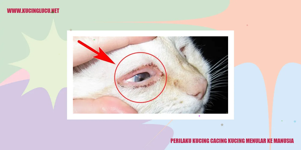 Perilaku Kucing cacing kucing menular ke manusia