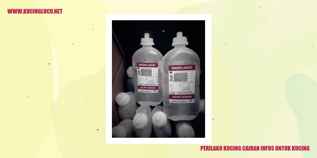 Perilaku Kucing cairan infus untuk kucing