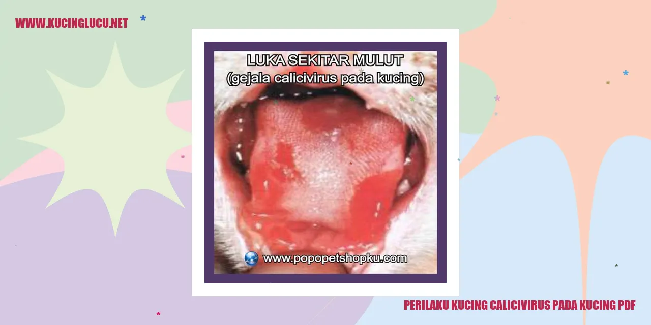 Perilaku Kucing Calicivirus pada Kucing