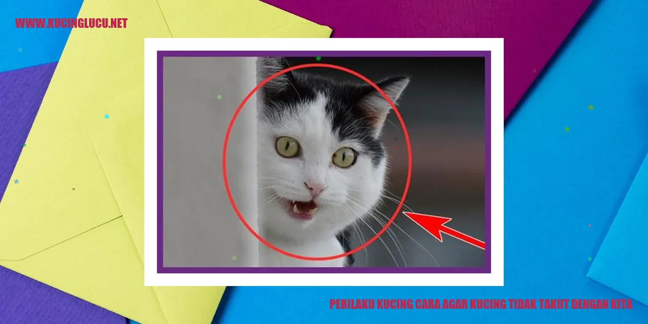 Kucing yang berinteraksi dengan manusia