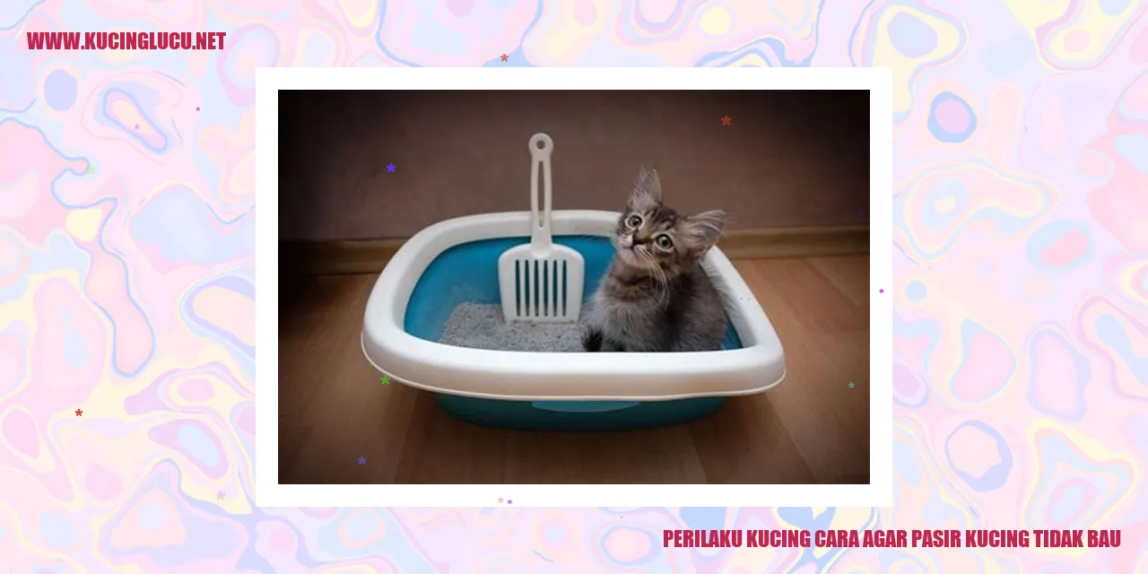 Perilaku Kucing dan Cara Agar Pasir Kucing Tidak Bau