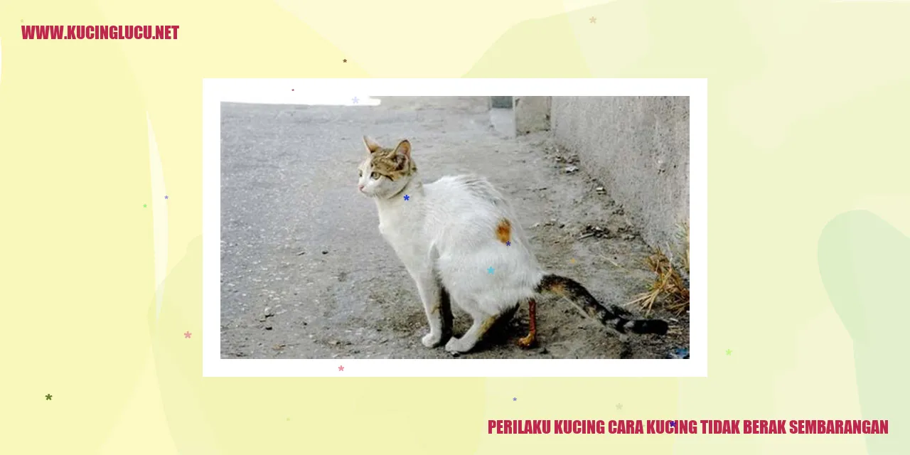 Perilaku Kucing