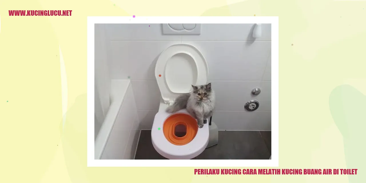 Perilaku Kucing: Cara Melatih Kucing Buang Air di Toilet