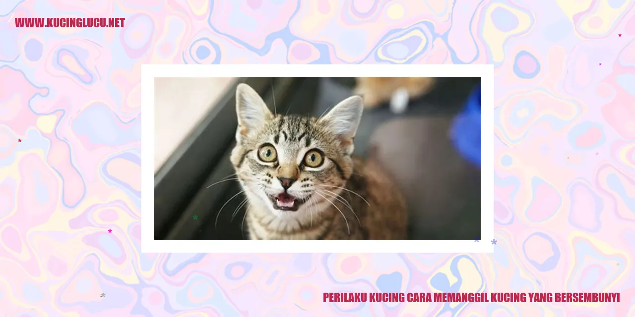 Perilaku Kucing