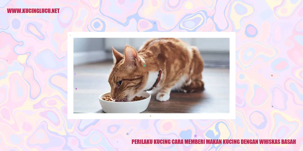 Gambar Kucing Menikmati Whiskas Basah