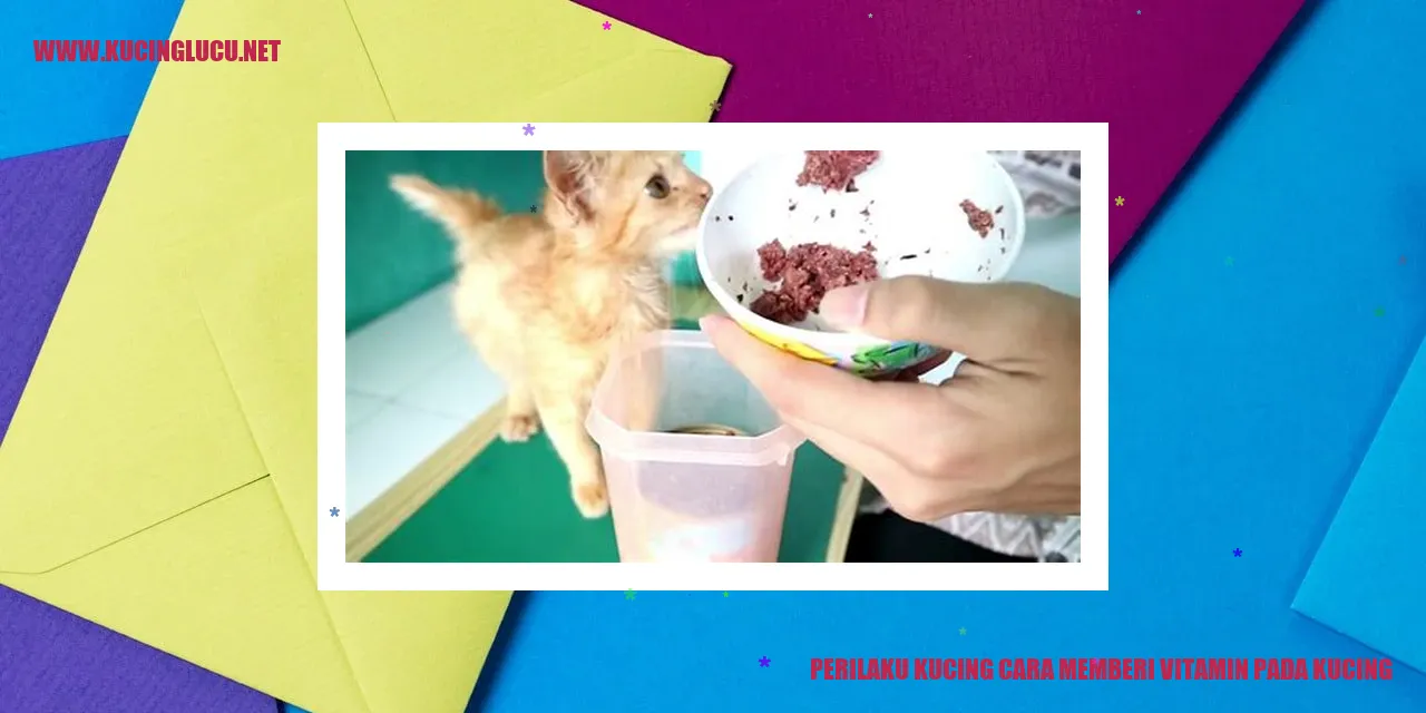 Perilaku Kucing cara memberi vitamin pada kucing