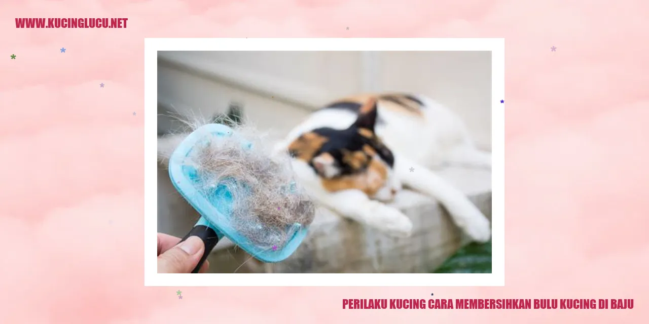 Perilaku Kucing: Metode Membersihkan Bulu Kucing yang Menempel di Baju