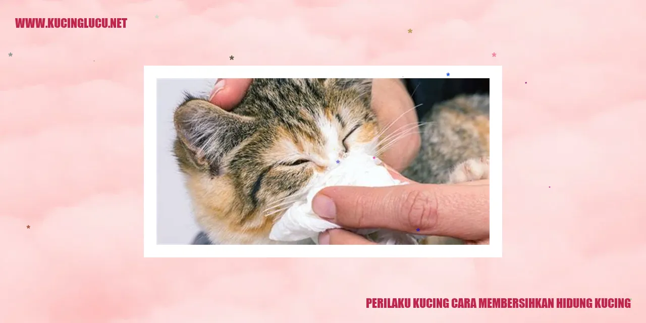 Gambar kucing sedang membersihkan hidungnya