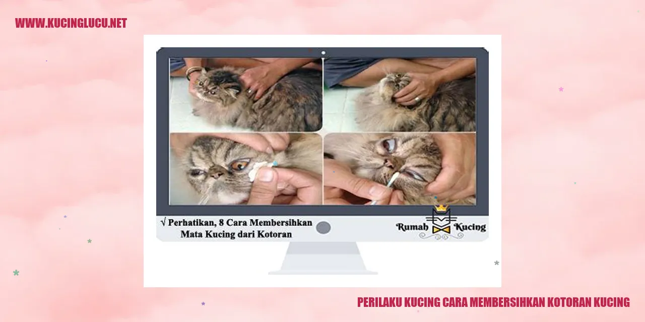 Kucing Menangani Kotoran