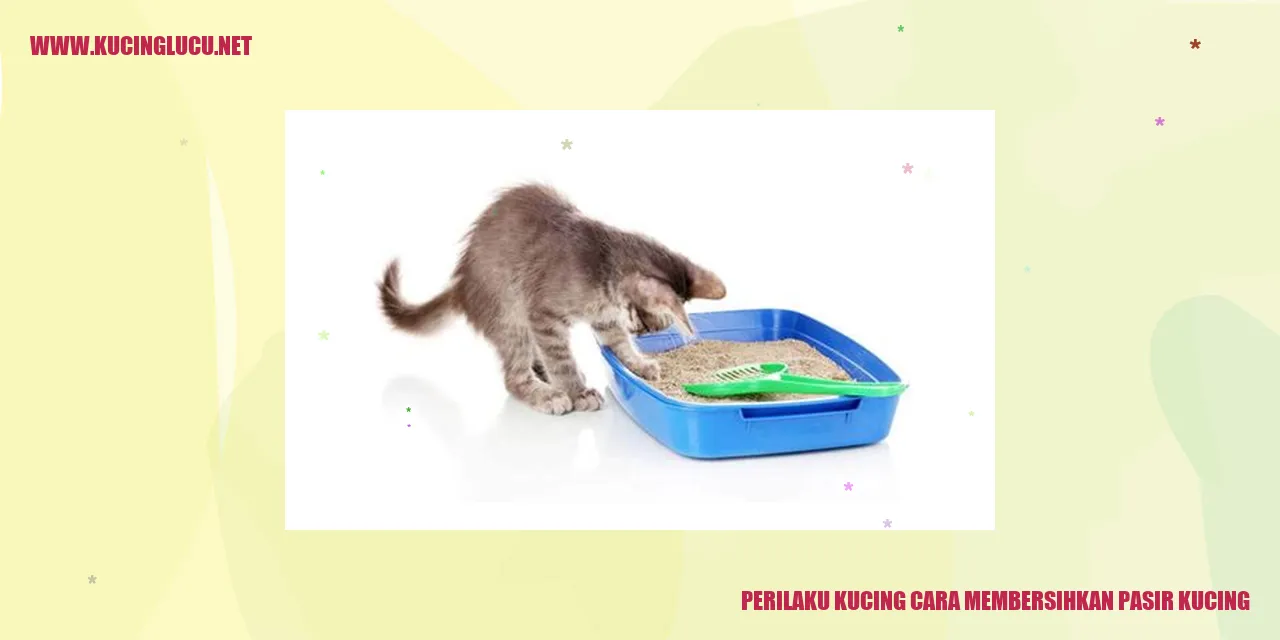 Perilaku Kucing cara membersihkan pasir kucing