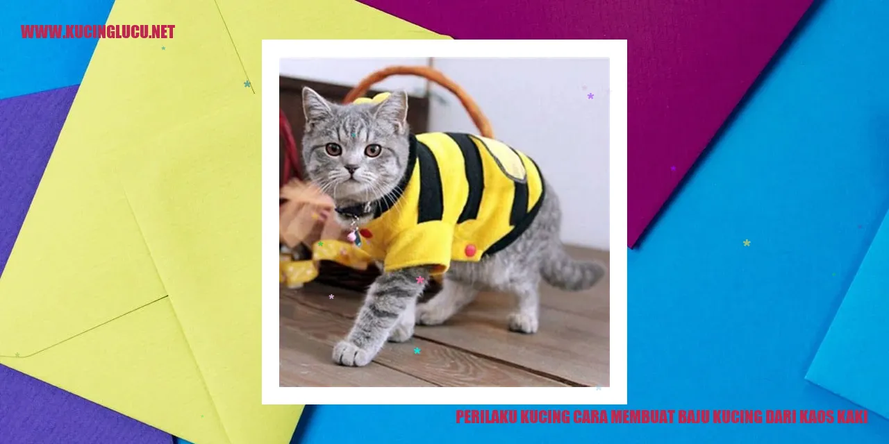 Kucing mengenakan pakaian dari kaos kaki