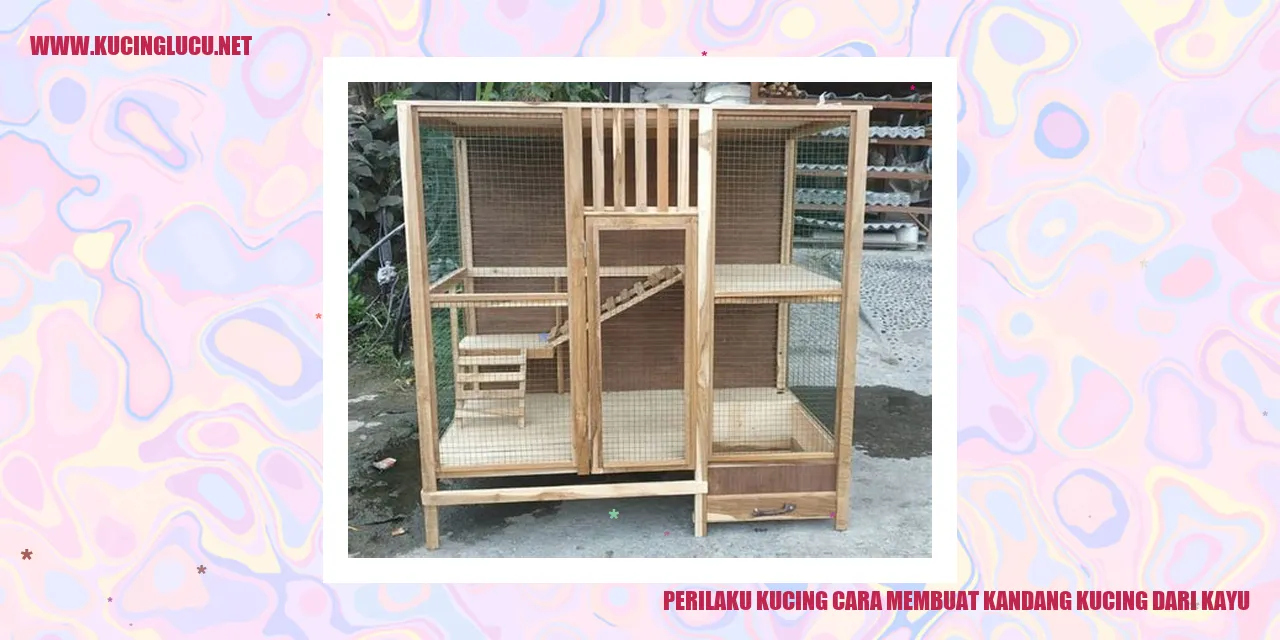 Gambar kucing di dalam kandang kayu