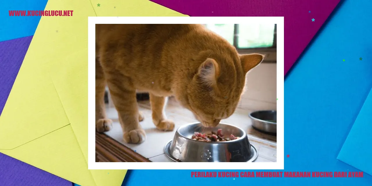 Perilaku Kucing cara membuat makanan kucing dari ayam