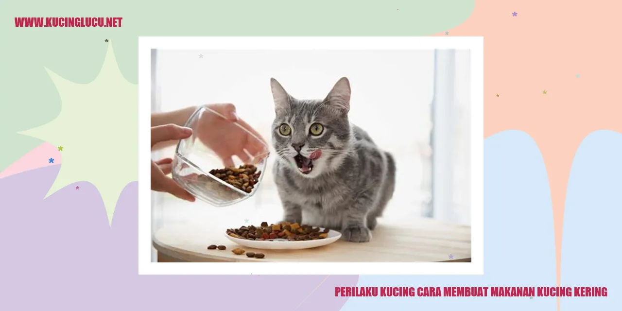 Perilaku Kucing dalam Meracik Makanan Kucing Kering