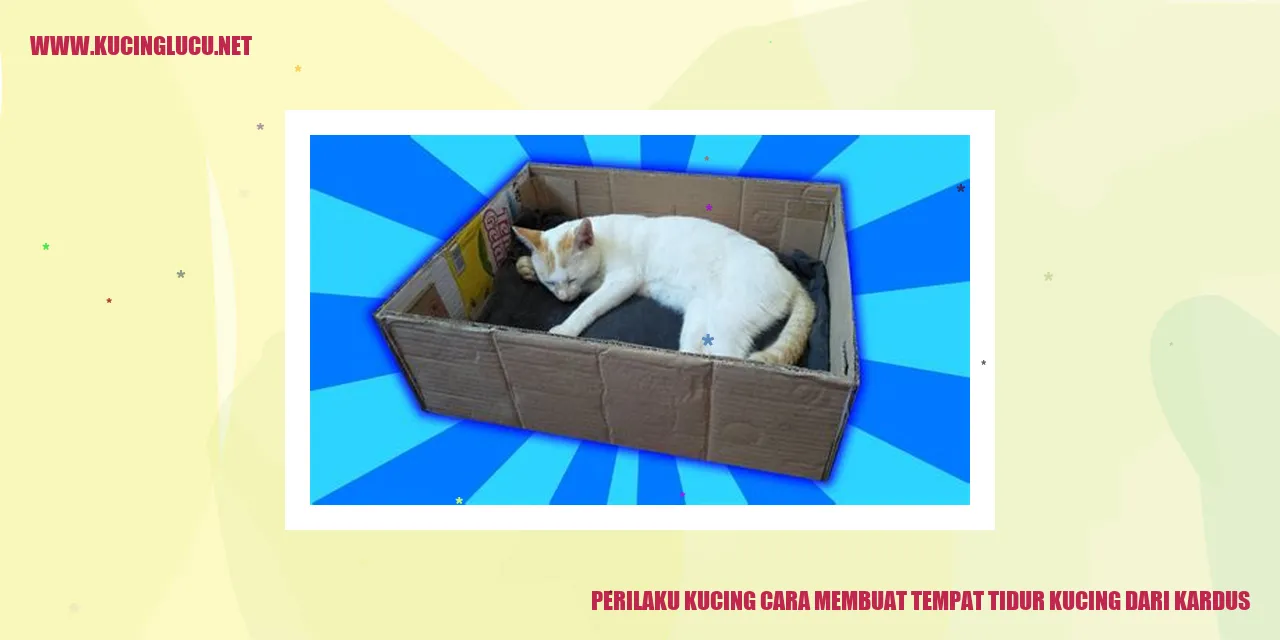 Kucing tidur di tempat tidur kardus