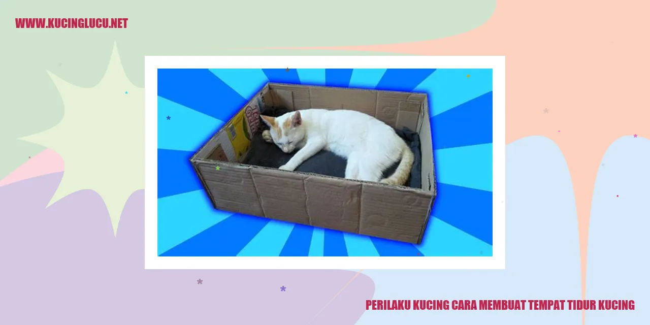 Sebuah Ilustrasi Kucing yang Tidur