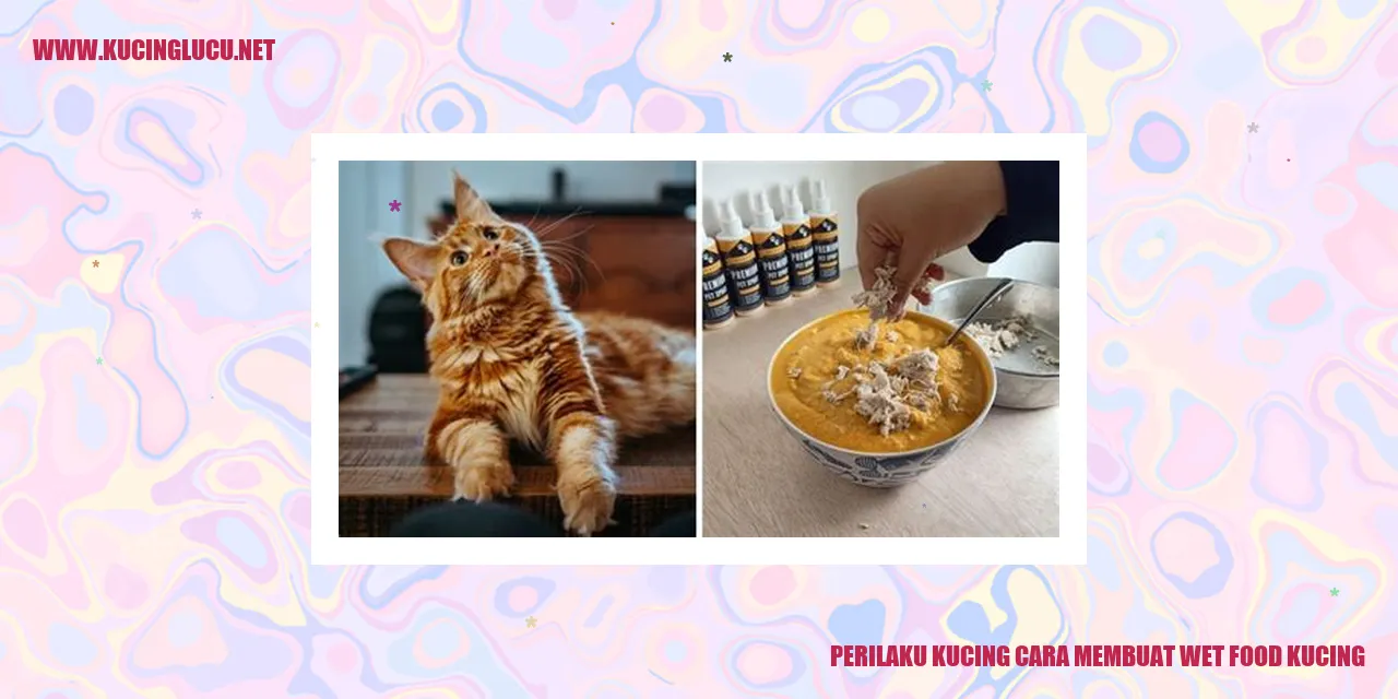 Perilaku Kucing: Cara Membuat Wet Food Kucing