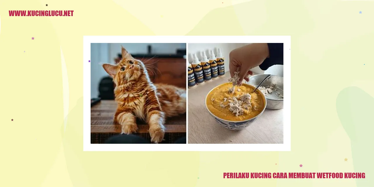 Kucing