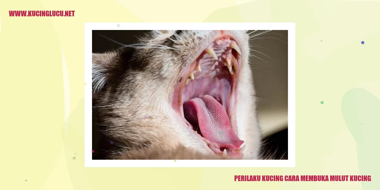 Gambar kucing membuka mulut