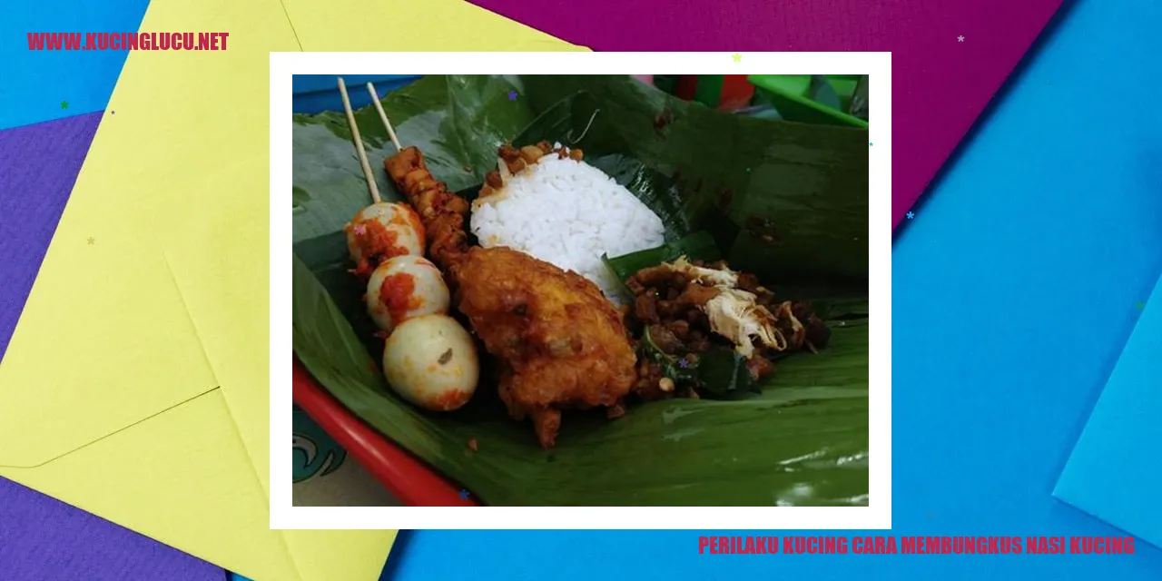 Kucing membungkus nasi kucing