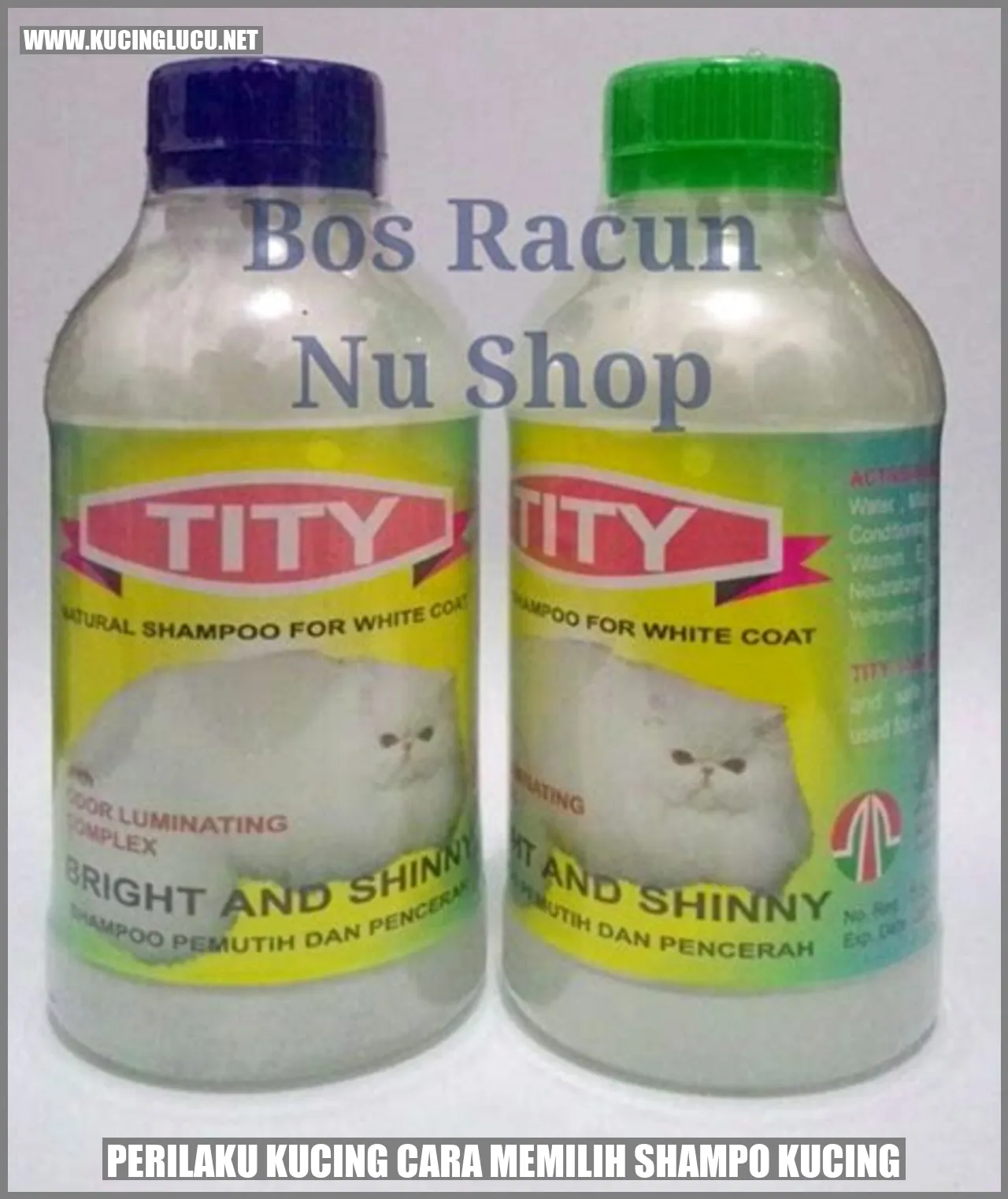 Kucing memilih shampo