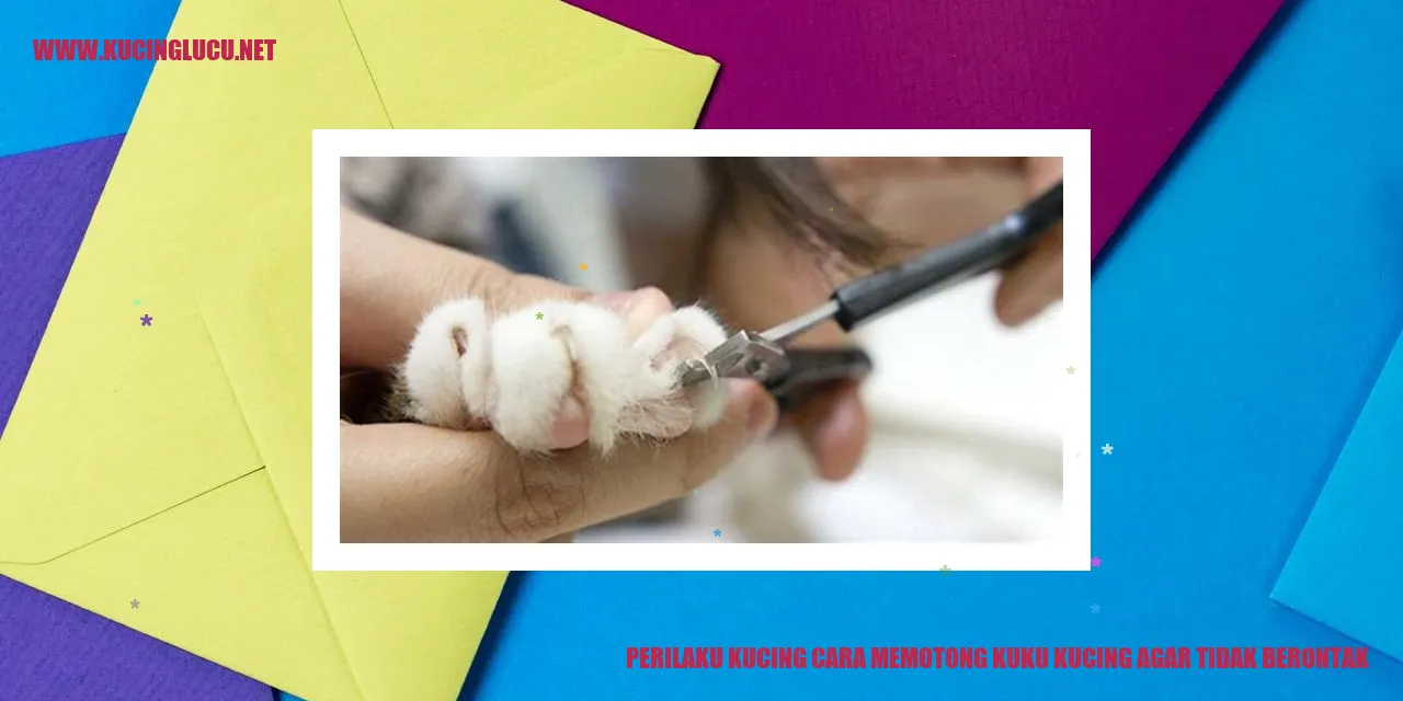 Gambar Kucing Saat Memotong Kuku