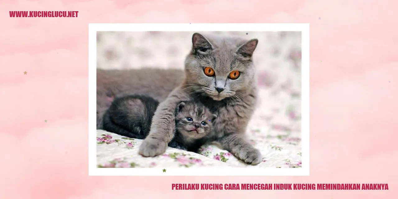 Foto kucing bersama anaknya