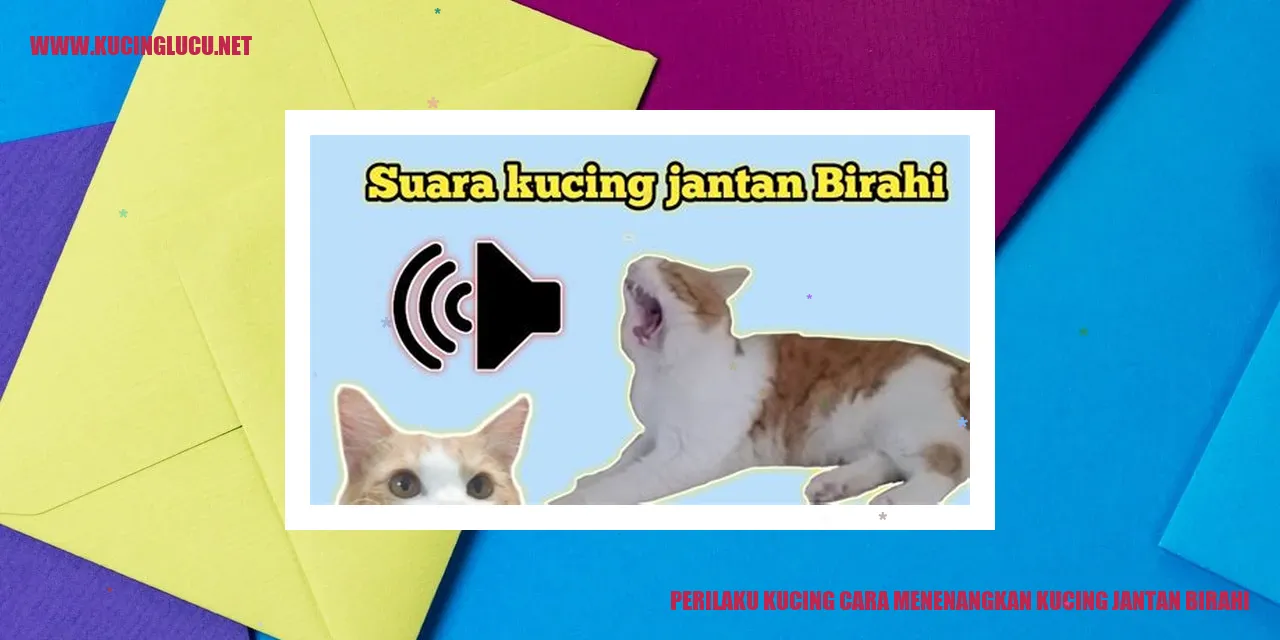 Kucing birahi