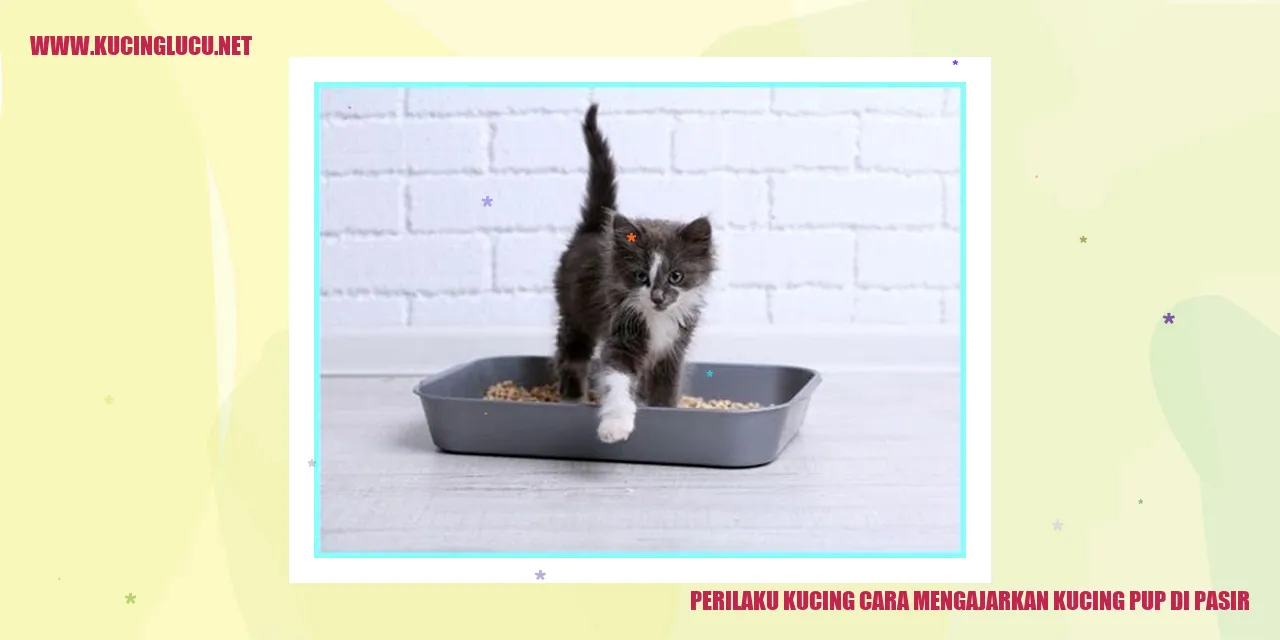 Perilaku Kucing Menggunakan Pasir