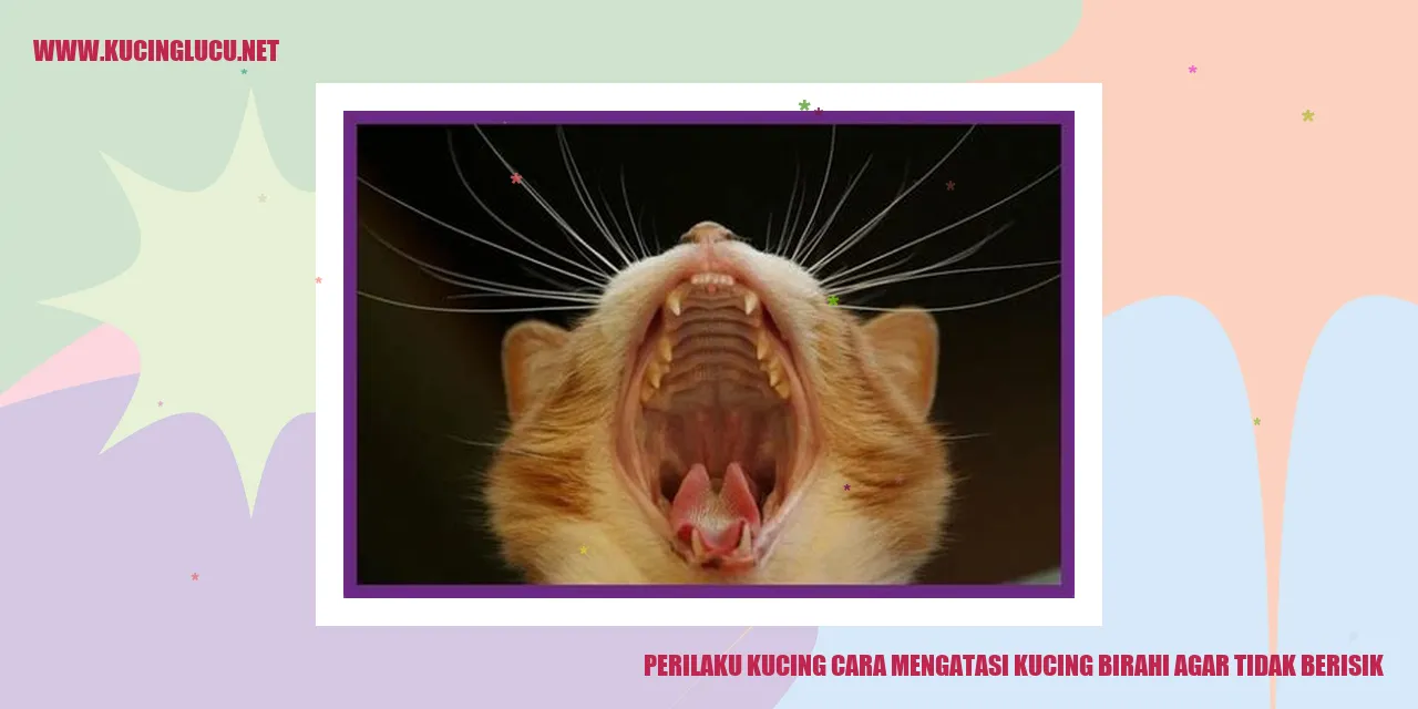 Perilaku Kucing