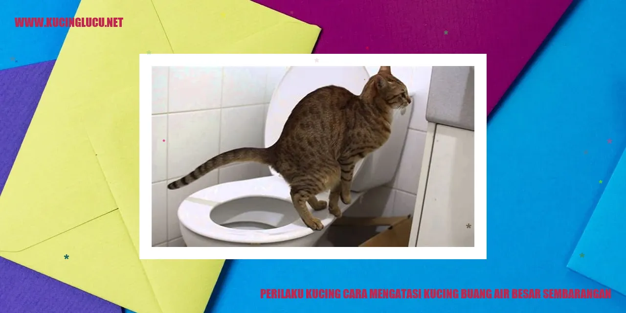 Kucing buang air besar sembarangan