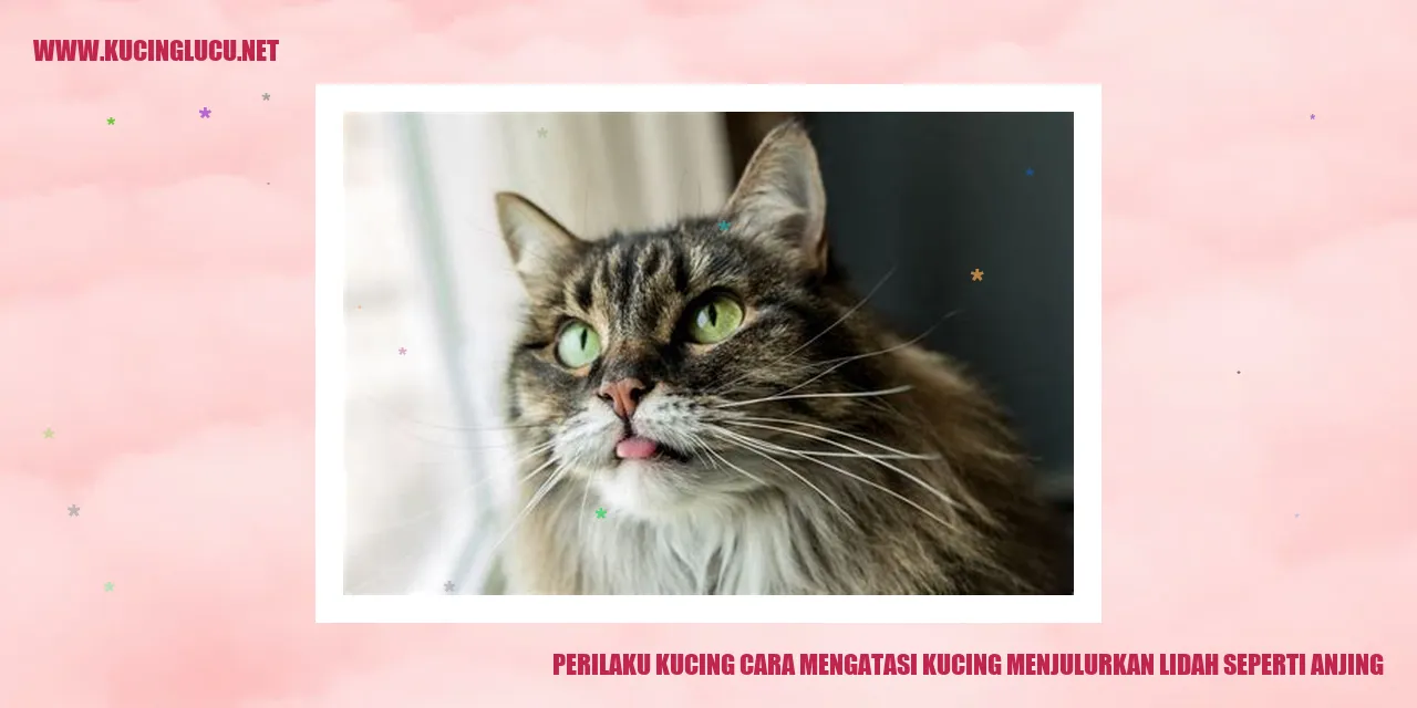 Perilaku Kucing