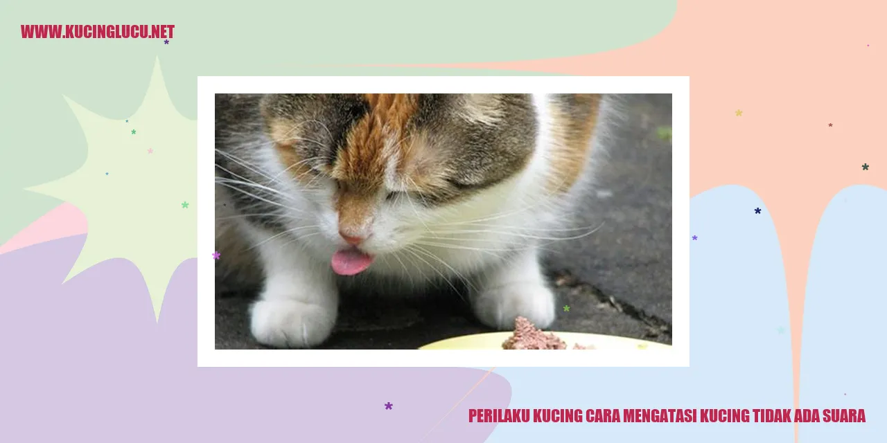 Perilaku Kucing cara mengatasi kucing tidak ada suara