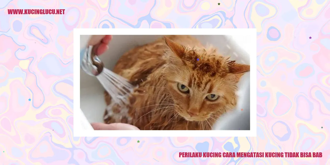 Perilaku Kucing - Cara Mengatasi Kucing yang Tidak Bisa Bab